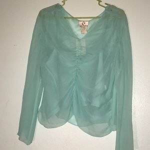 Beautiful Vintage Sheer Top